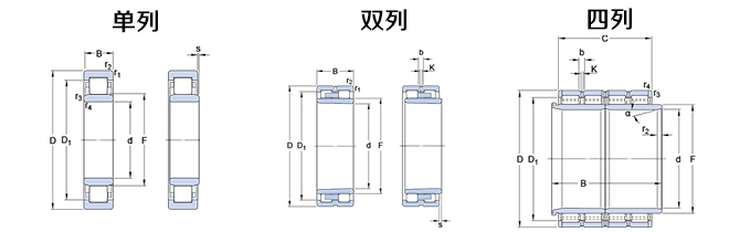 RNU 203 ECP