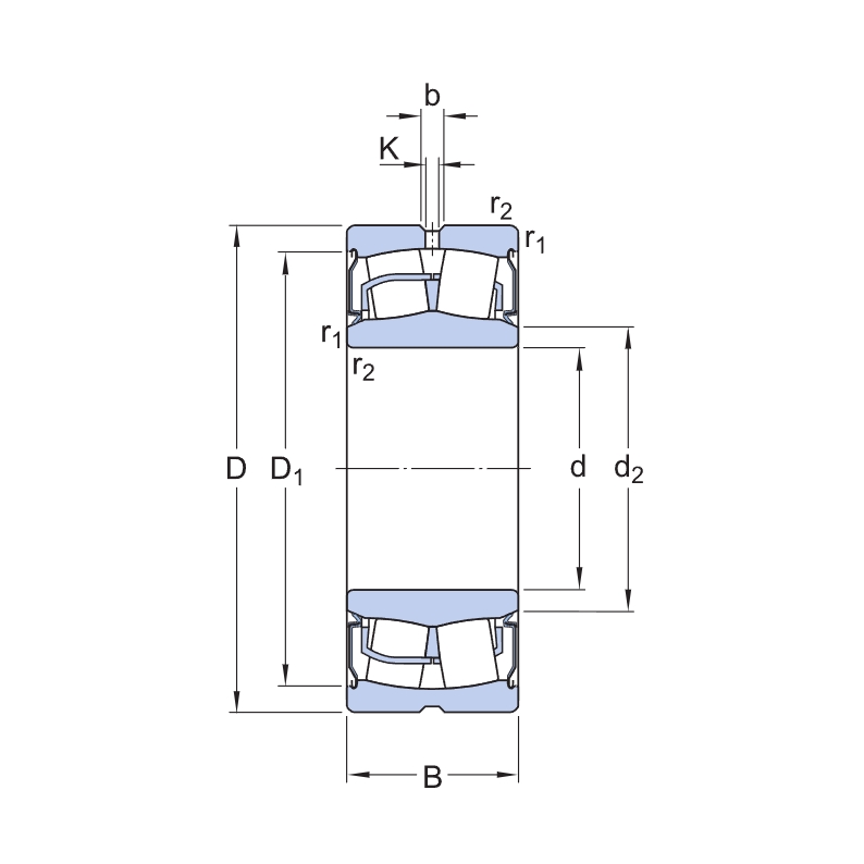 BS2 series sealed self-aligning roller bearings