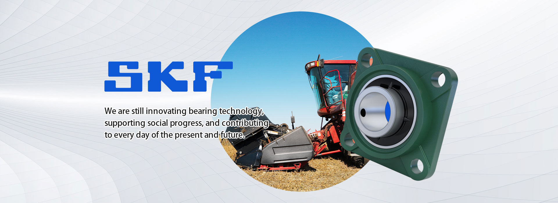 SKF Bearing‬